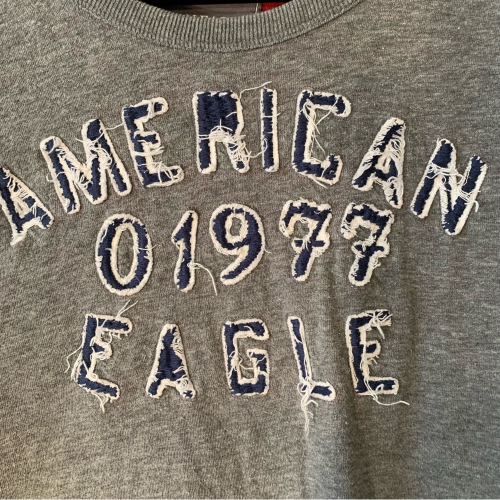 American Eagle Outfitters Oversized Distressed Lined Crew Neck Sweatshirt size L